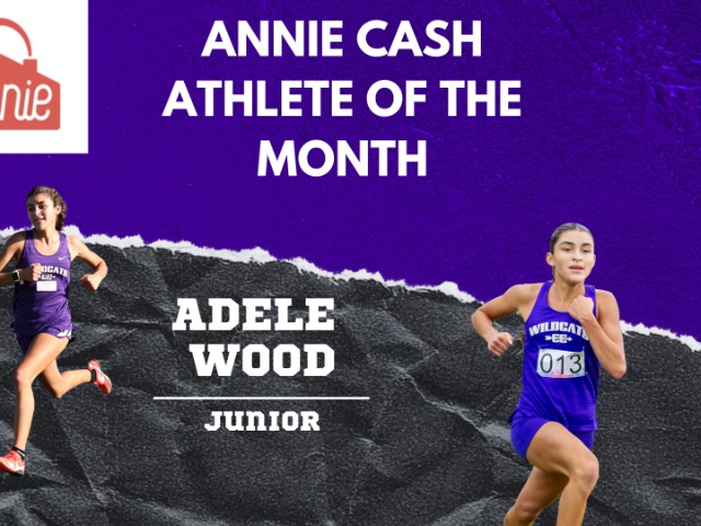 photo #1 published on 11/4/2025