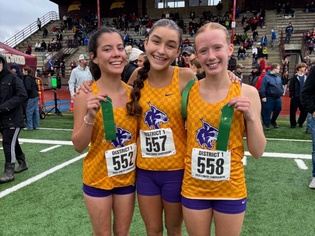 photo #2 published on 11/3/2025