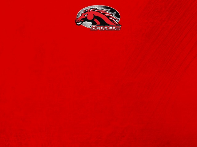 About Mascot Media