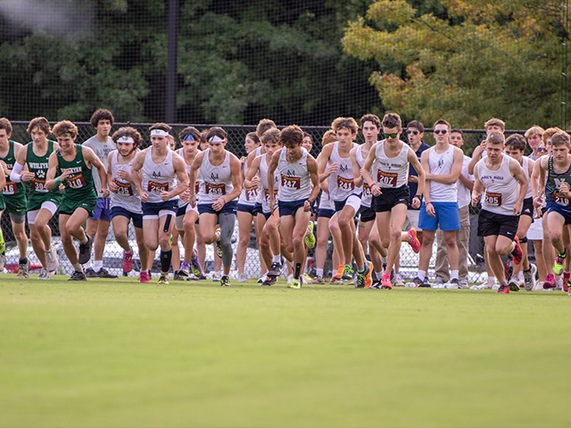 Cross Country Posts Strong Finishes at GHSA State Meet