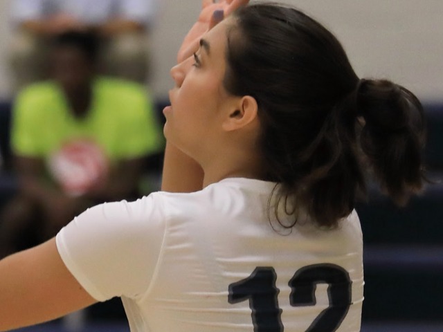 Volleyball Sweeps Home Matches Against Paideia and Weber