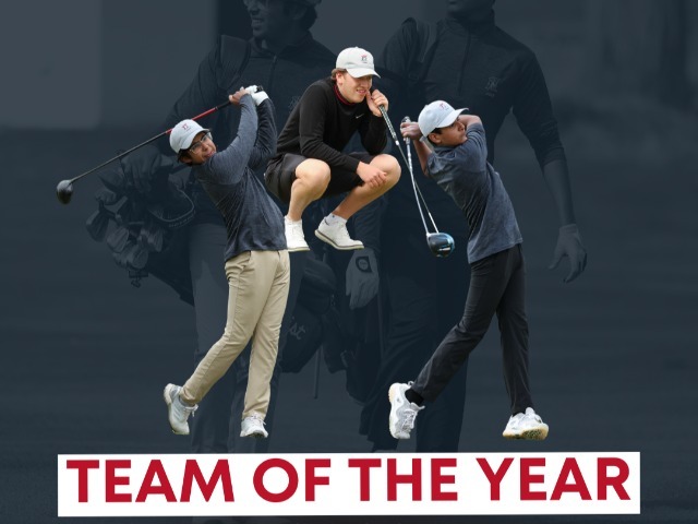 Boys’ Golf Named NJ.com Team of the Year