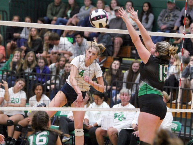 Bishop England's Warren named Player of the Year
