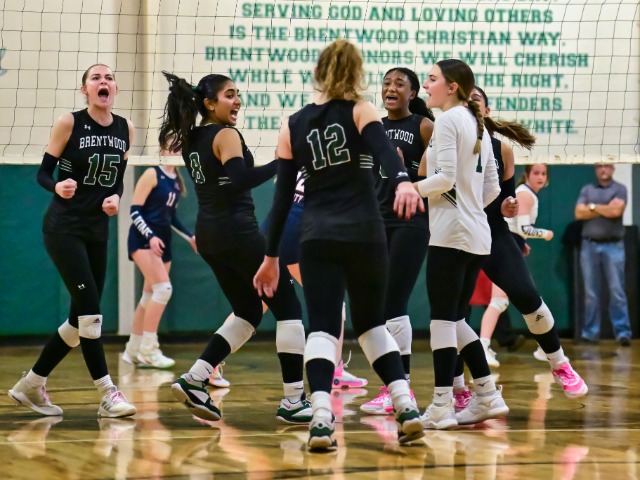 Volleyball Dominates All-District List