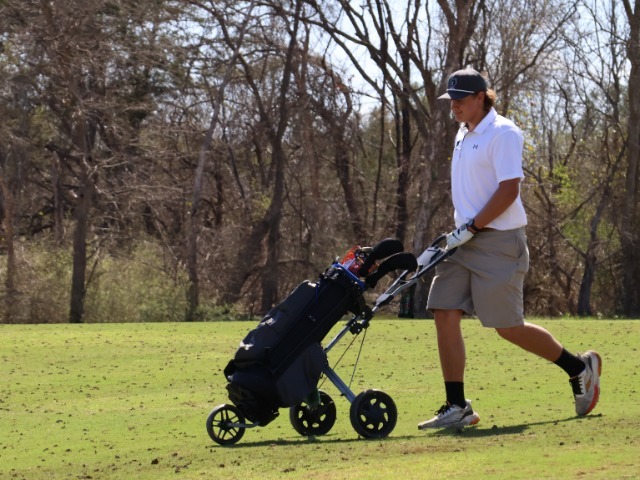 photo #1 published on 3/9/2026