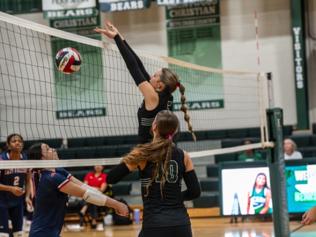 photo #1 published on 1/7/2026