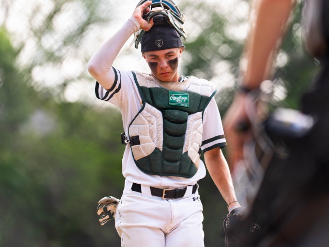 Senior-led Bears battle in strong season