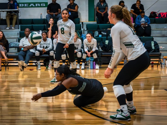 Lady Bears Win Volleyball District Tournament