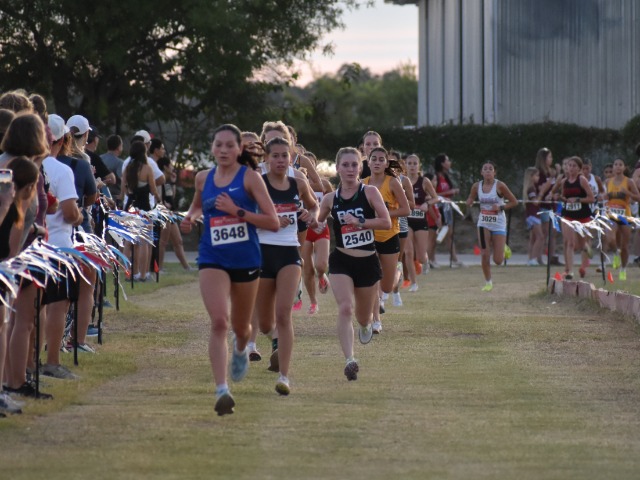 XC Teams Hitting Stride Before District Meet