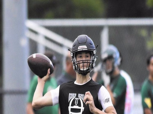 Garrett Despot 'pumped' to take over at quarterback for Metea Valley