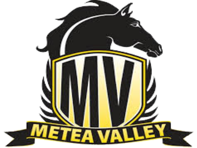 An added dimension to Naperville Central-Metea Valley matchup
