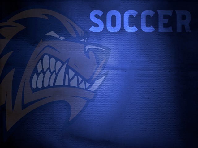 Lady Wolverines Soccer Preview