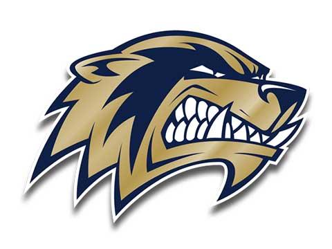 Three added to coaching staffs