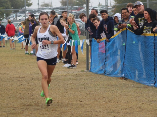 Stegmnan's Title Leads Historic Day for Reedy, FISD Cross Country