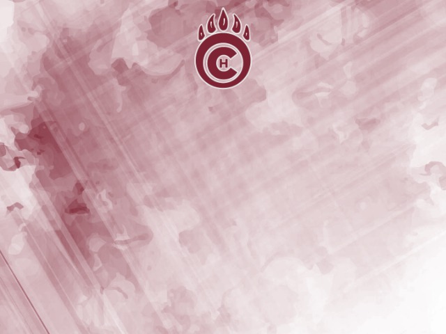 About Mascot Media