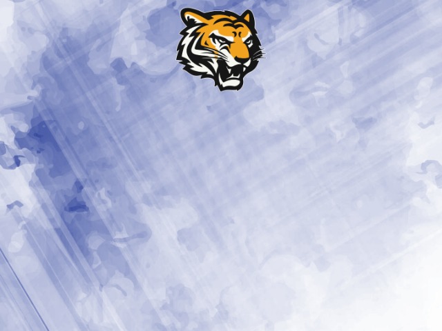 About Mascot Media