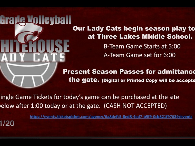 LadyCat Volleyball