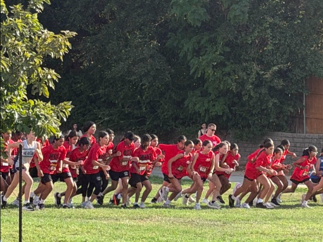 North Cross Country Fights Hard at Coppell Zone Meet 