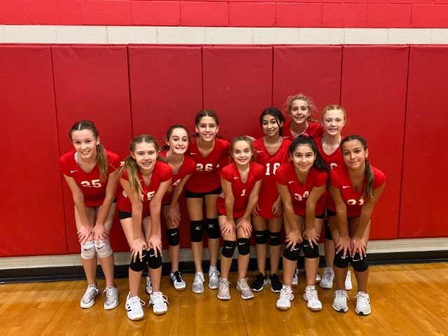 Lady Cougars vs Lady Dragons