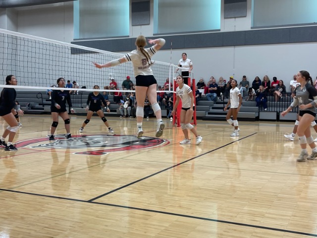 photo #16 published on 10/8/2025