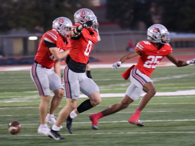 photo #20 published on 10/11/2025