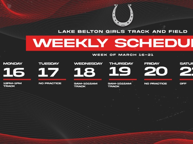 Lady Bronco Bi-District Playoffs