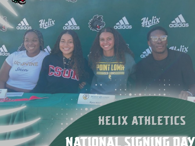 Four Ink NLI