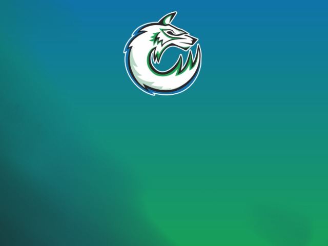About Mascot Media
