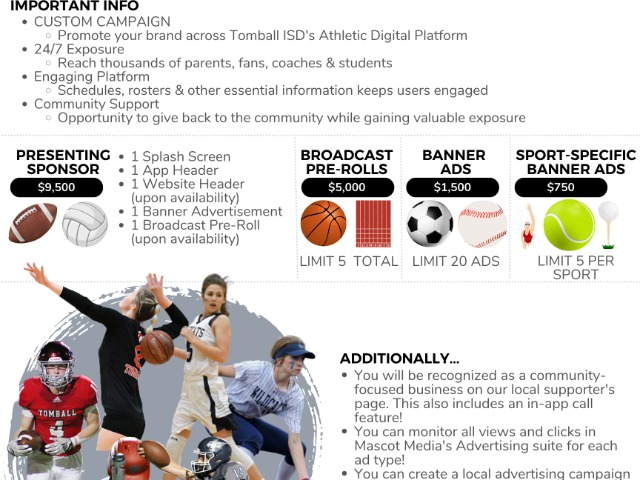 Website Advertising