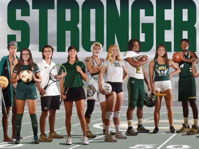 Murrieta Mesa’s Justin Schneider has been selected the IE Varsity boys swimmer of the year in Murrieta