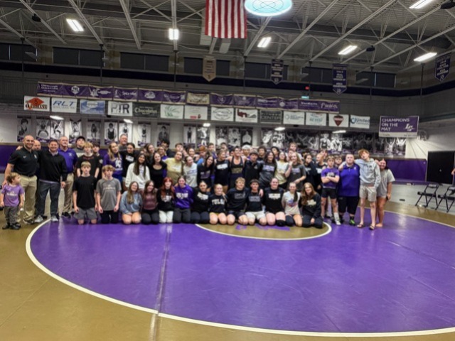 Purple and Gold Night Rocks!