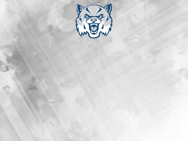 About Mascot Media
