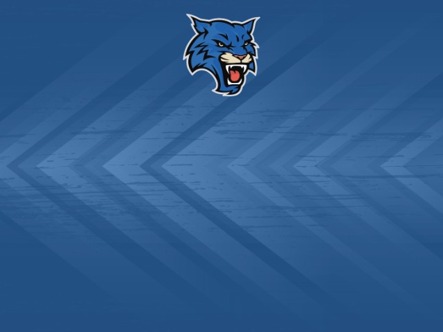 About Mascot Media