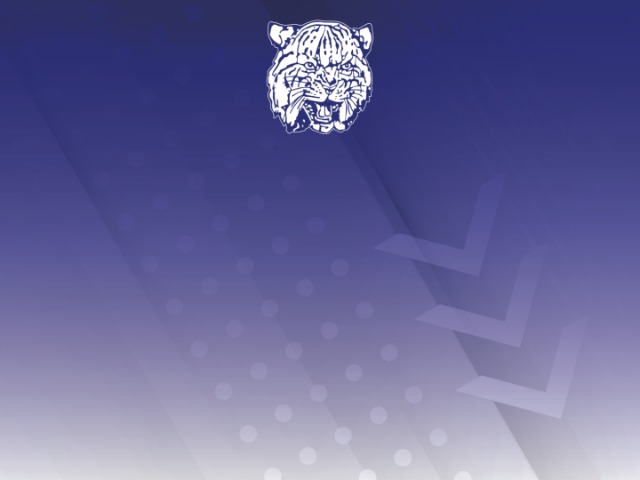 About Mascot Media
