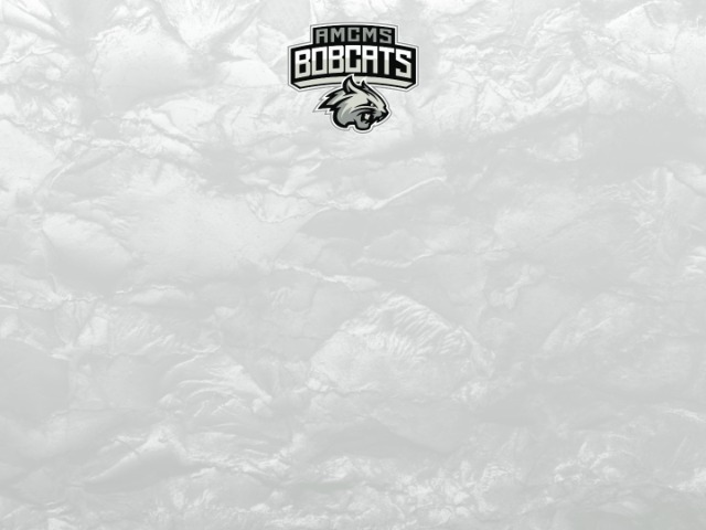 About Mascot Media