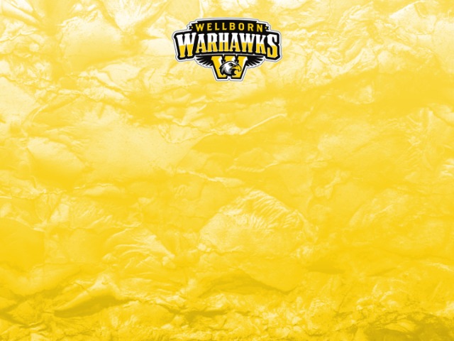 About Mascot Media