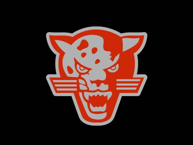 Softball Tryouts 1st Cuts