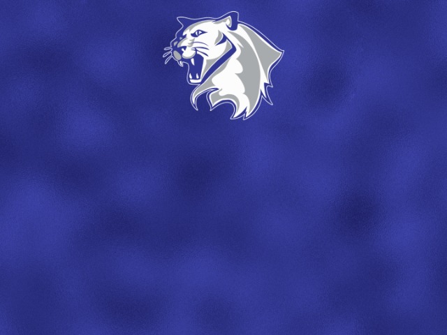 About Mascot Media