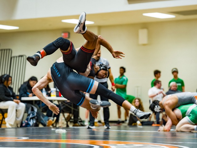 photo #1 published on 2/13/2026