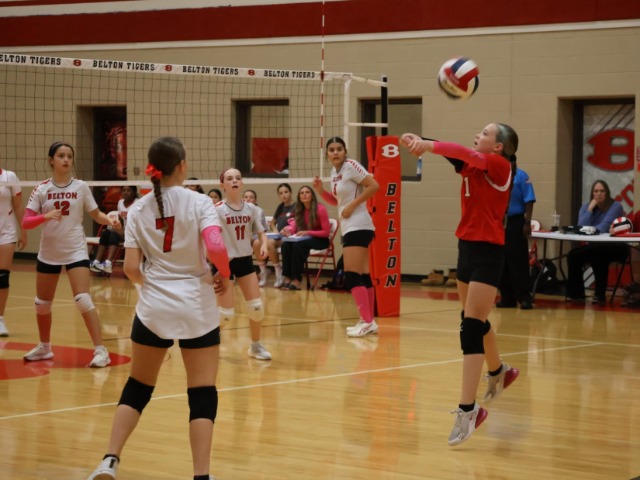 SBMS 7B vs Bonham