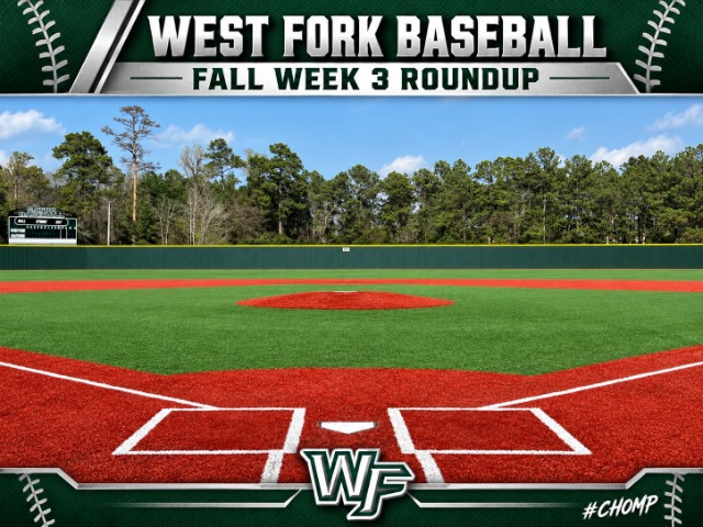 Week 3 Round Up