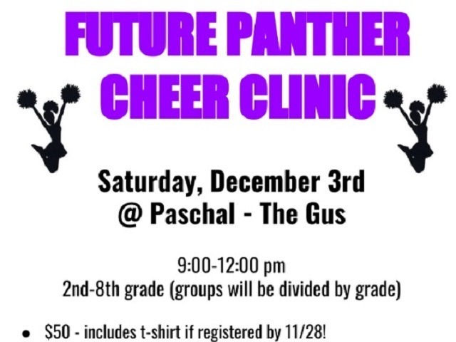 Future Panther Cheer Clinic