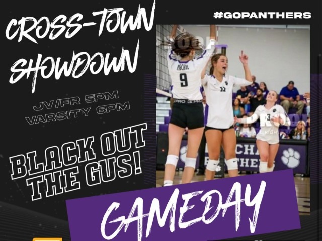 Paschal Volleyball vs. Arlington Heights