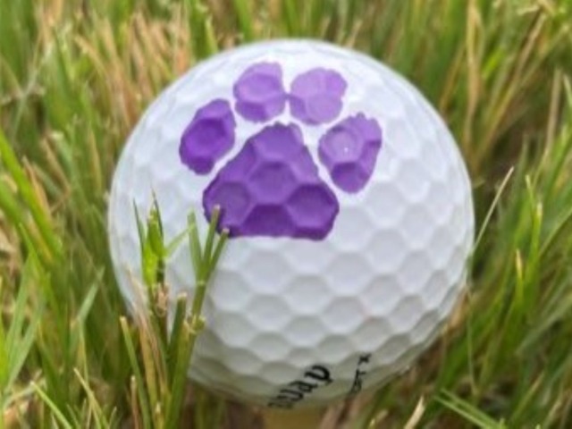 PHS Athletics Newsletter - Oct 27 - Trunk or Treat