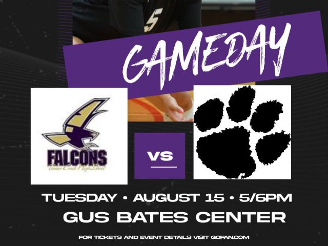 Volleyball Gameday!