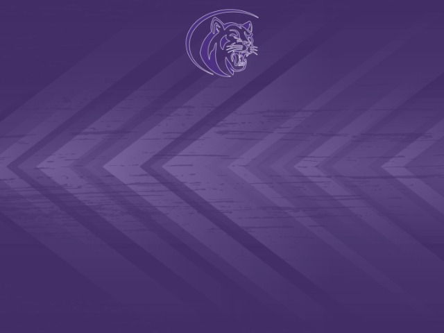 About Mascot Media