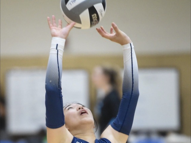 Norcross Blanks Duluth 