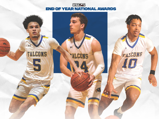 Southeastern Illinois College Basketball Players Earn National Honors for Athletic and Academic Excellence