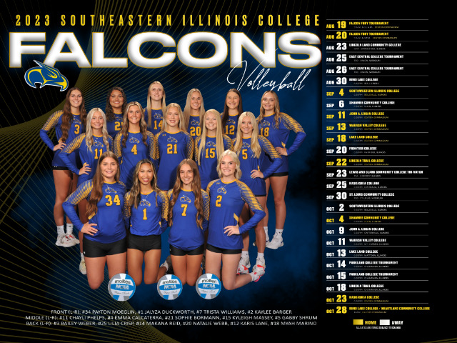 2023 Volleyball Poster Now Available