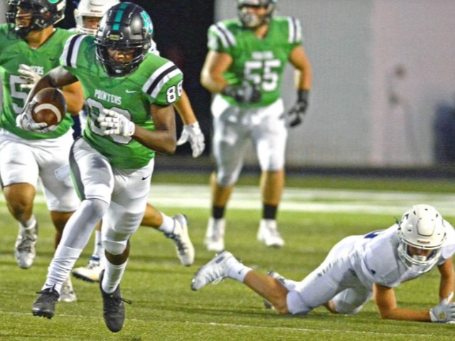 Newton coming up big for Pointers
